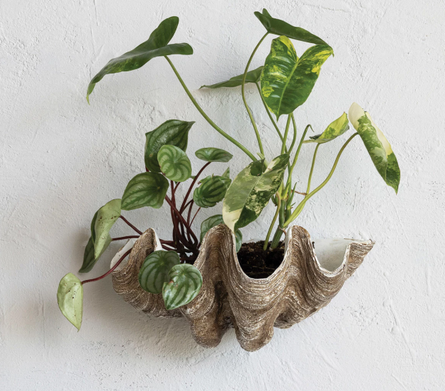 Clam Shell Wall Container