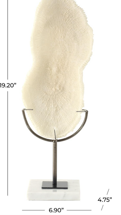 Cream Coral Sculpture with Marble Base