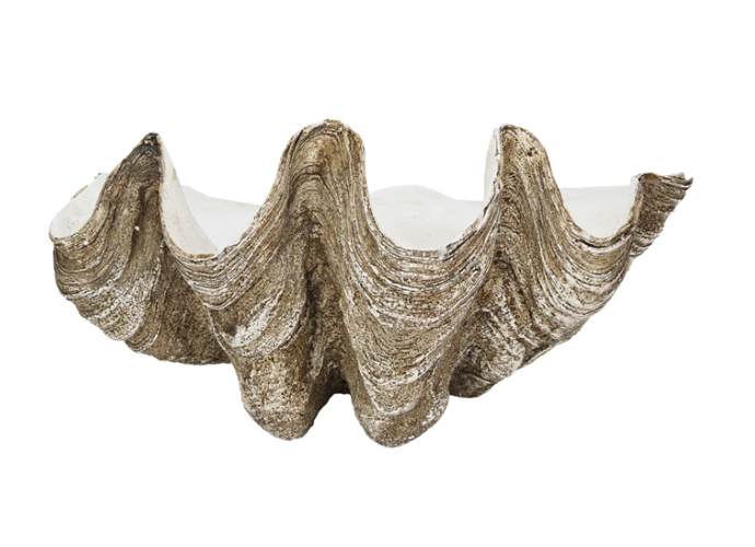 Clam Shell Wall Container