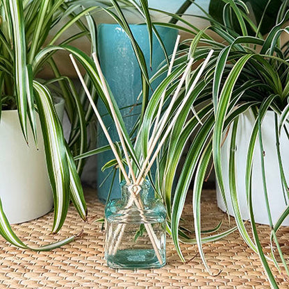 Ti Reed Diffuser