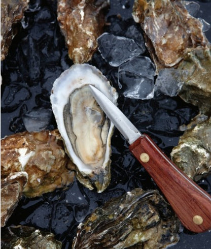 Oysters Cookbook by Cynthia Nims