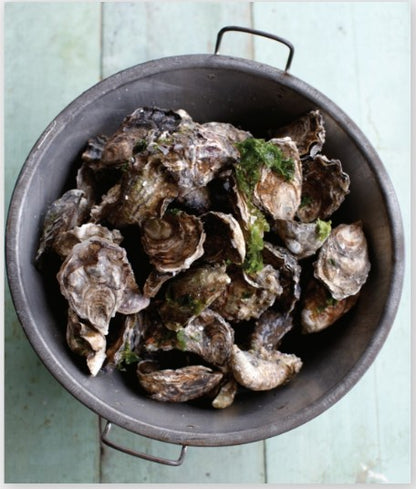 Oysters Cookbook by Cynthia Nims
