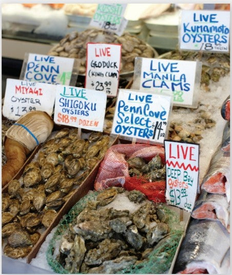 Oysters Cookbook by Cynthia Nims