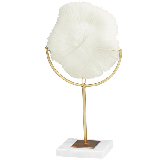 Cream Coral Sculpture with Marble Base