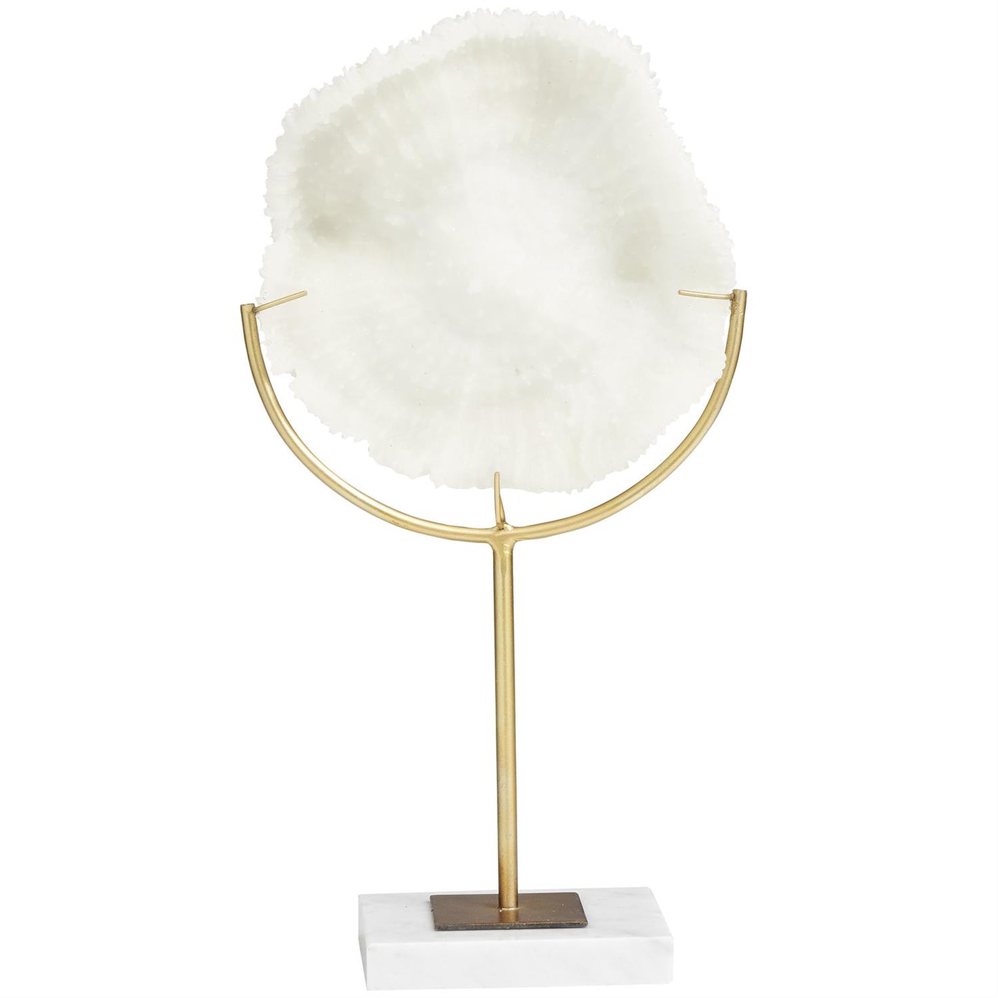 Cream Coral Sculpture with Marble Base