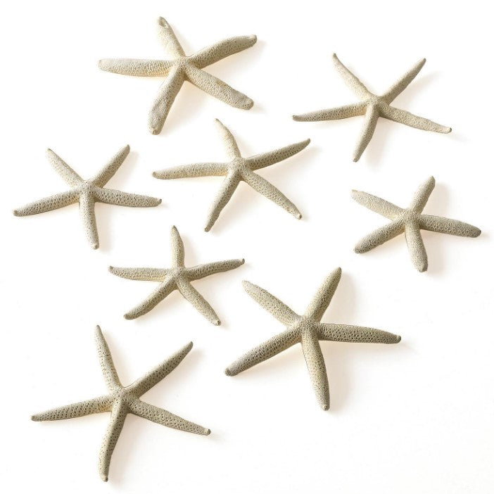 White Finger Starfish Singles