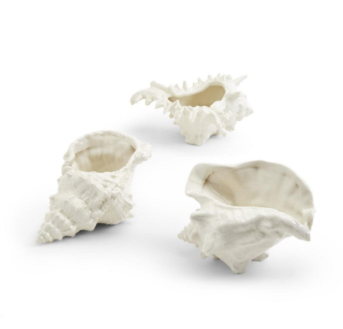 Seashell Décor Cachepots